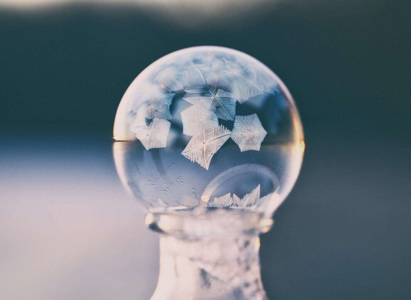 Dynamic Content Image